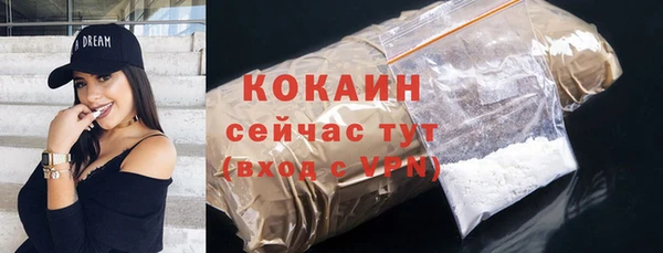 СК Алексин