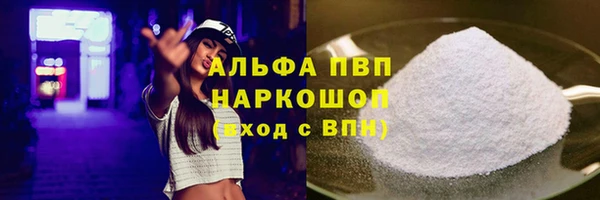 СК Алексин