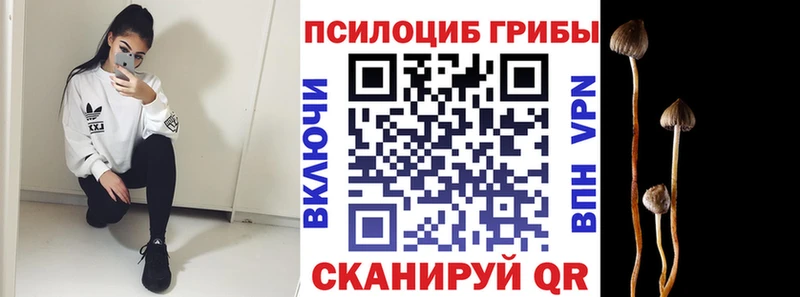 МЕГА зеркало  Чёрмоз  Псилоцибиновые грибы Magic Shrooms 